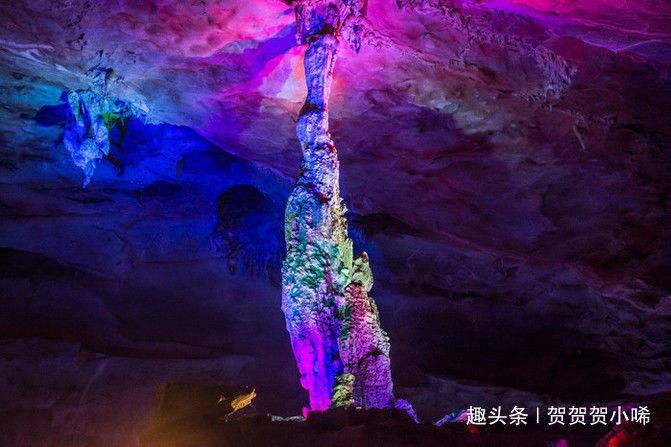 除虫大师