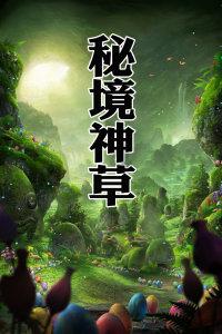 唐唐姐《精英关系》高阶女性进阶课程