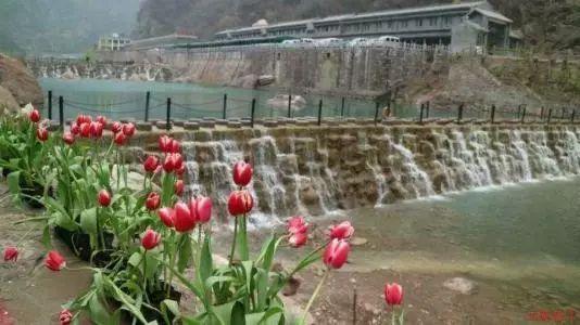 济宁市第六届冬季全民健身运动会开幕