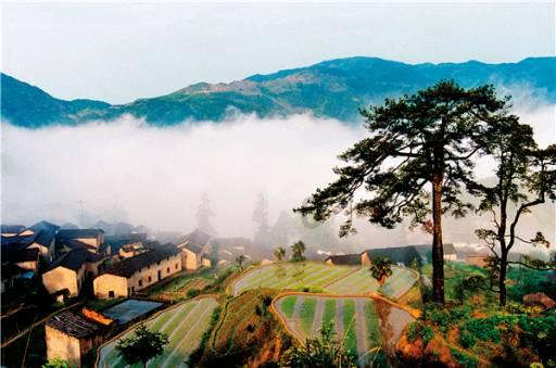 2名村民征地拆迁区“种”房,武汉江夏五里界街道依法拆除