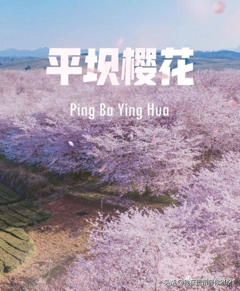 月光影视