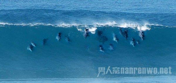 迈科期货:锌 供需双弱,短期偏弱震荡