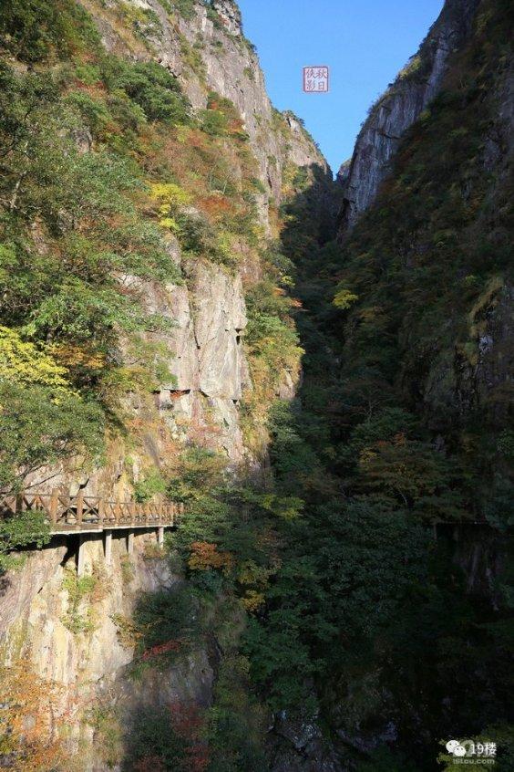 探寻氨基酸原粉加磷酸二氢钾加尿素 喷施水稻好吗 还是单喷叶面肥好?话题