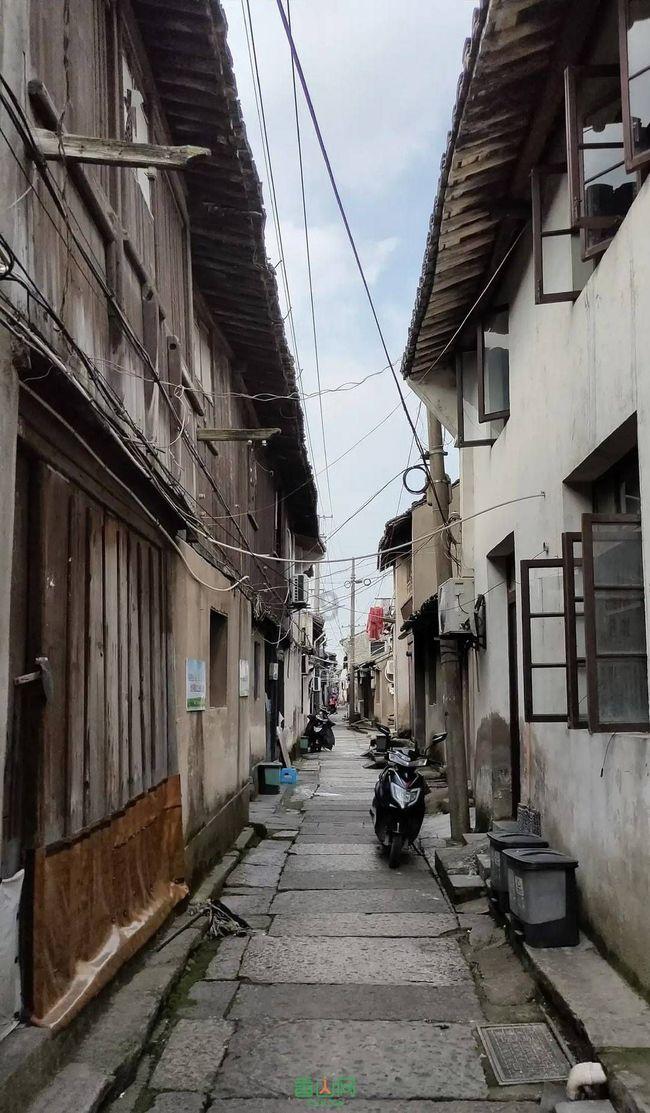 高建民专题调研现代农业工作